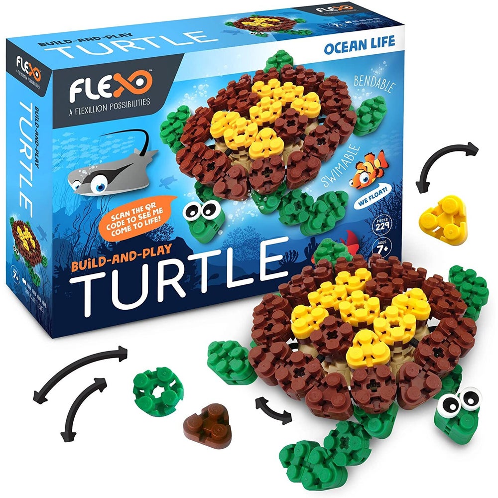 TURTLE-OCEAN LIFE (5) ENG